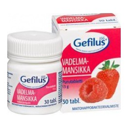 Gefilus Vaarika-maasika Tbl N30