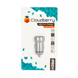 Cloudberry Zinc 4,8 A autolaadija 2 x USB 2,4 A