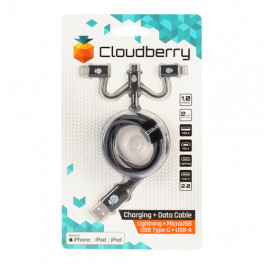 Cloudberry tugeva struktuuriga andmekaabel 3-in-1 MicroUSB,