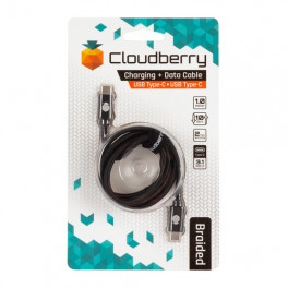 Cloudberry USB Type-C 3.1 - USB Type-C 3.1 vastupidav andmek