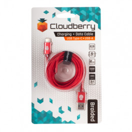 Cloudberry USB Type-C 3.1 vastupidav andmekaabel, punane, 2,