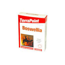 Terrapoint Boswellia Kaps N30